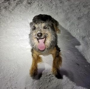 Meet your Posher, Adam